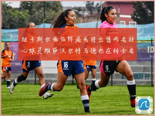 纽卡斯尔面临阵痛或将出售两名核心球员维萨沃尔特马德也在转会名单上