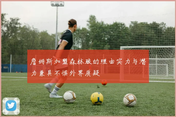 詹姆斯加盟森林狼的理由实力与潜力兼具不惧外界质疑