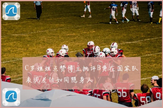 C罗姐姐点赞博主批评B费在国家队表现差劲如同隐身人